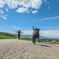 Katharina Kammer's Photo