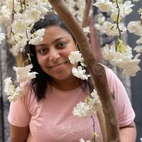 Mirhan Ashour's Photo