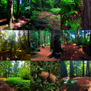 Passage Between Worlds — Screening & Conversation 's picture