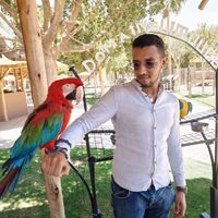 Fotos de Mohamed Bouikourar