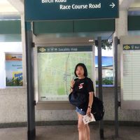 Fotos von Phoebe Nguyen