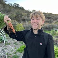 Photos de Jakob Bornhäuser