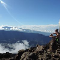 Laurent Dobbin的照片