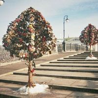 Zoé Wambat-Nugs's Photo