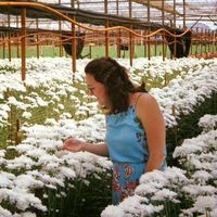 Bruna Bonomo的照片