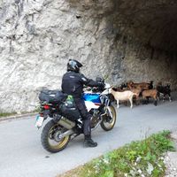Fotos von Dutch Ducatistum