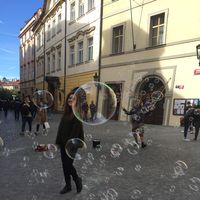 Фотографии пользователя Giovana Francio Garaffa