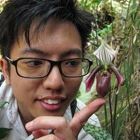 Fotos de Ray SO Lok Hin