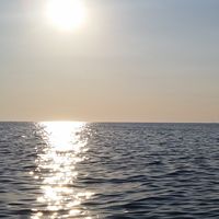 Photos de Diana Petkovic