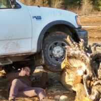 Jan Zimmermän的照片