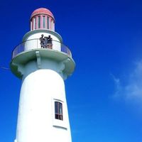 Toto Maybelle的照片