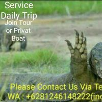 Komodo Nabila Tour's Photo