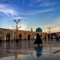 sharafinia Reza的照片