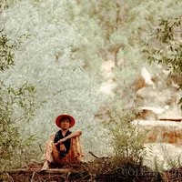 Lief Darling's Photo
