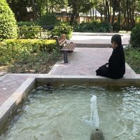 Fatemeh Fayazi的照片