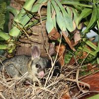 Jenna Jackson's Photo