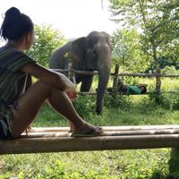 Fotos von Lilly Hong