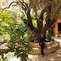 Irene Ducharme's Photo