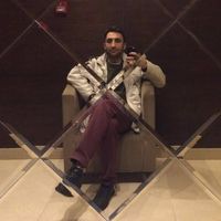 Hamed Nemati的照片