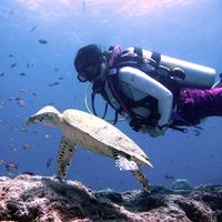 Cynthia LIANG的照片