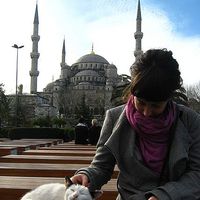 Sara Polidoro's Photo