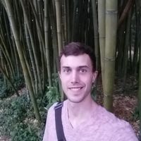 David Steins的照片