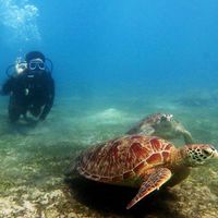 Ralph Gonzales's Photo