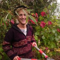 Aleksander Kaluzynski的照片