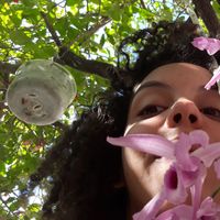 Fotos von Amanda Brasileiro