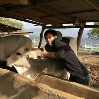 Akira Kitamura's Photo