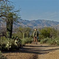 Matthew Iles的照片