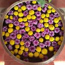 Foto de An Evening Meet