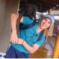 Carlos Flores的照片