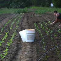 Fotos de Helen McDonald