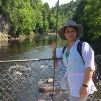 Fariba Nikpour的照片