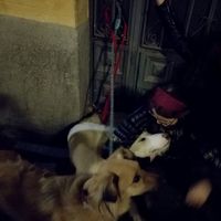 Sara Sánchez's Photo