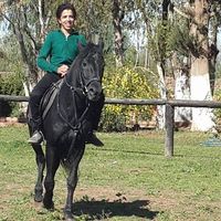 Youssef Elhoulaili的照片