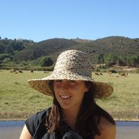 Mariana Amorim的照片