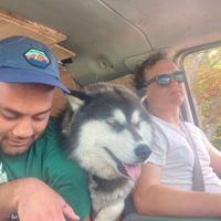 arvand piltan的照片