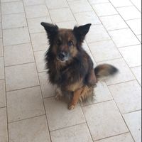 Guimo Burando的照片