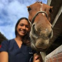 Fotos de Lina Cordoba Gil