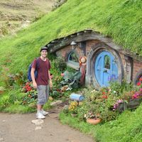 roy grosman的照片