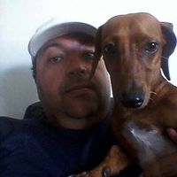 Virgilio Meirelles's Photo