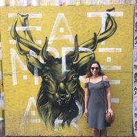 Meltem  Ç.的照片