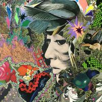 Hatice Nur Alan's Photo