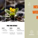 New Year Wellbeing Rituals's picture