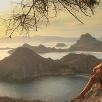 Nicolas Baudoin Antomarchi's Photo