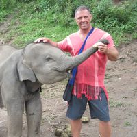 David Sharp的照片