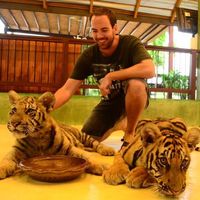 Robert Kennedy的照片