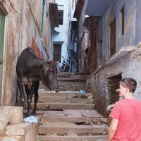 Ryan Smallridge's Photo